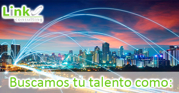 empleo Link Consulting Services